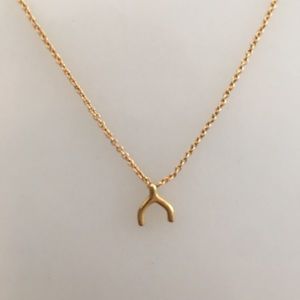 Dogeared wishbone gold necklace